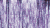 bgl009