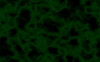 bgl019