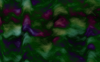 bgs008
