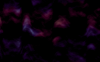 bgs009