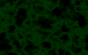 bgs019