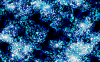 bgs029