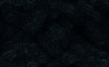 bgs031