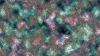 tkuntitle1017