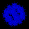 ene005