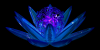 ene042