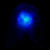 ene094
