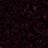 parallaxes028