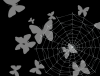 mvtitle001