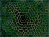 mvtitle015