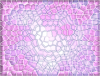 mvtitle016