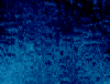 mvtitle030