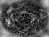 mvtitle047