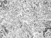 mvtitle062