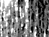 mvtitle084