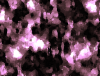 mvtitle090