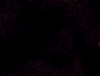 mvtitle137