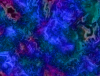mvtitle156