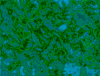 mvtitle189