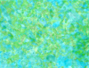 mvtitle191