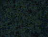 mvtitle192