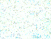 mvtitle193