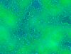 mvtitle204