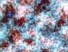 mvtitle210