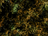 mvtitle213