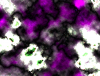 mvtitle216