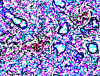 mvtitle218