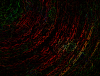 mvtitle226
