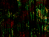 mvtitle233