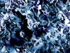 mvtitle256