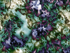 mvtitle258