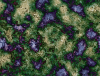 mvtitle277