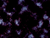 mvtitle278