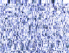 mvtitle283