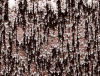 pf3002