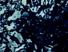 pf3003