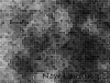 vxbs24