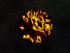 vxtitle007