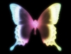 vxtitle008