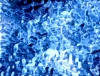 vxtitle063