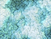 vxtitle064