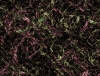 vxtitle068