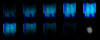 effect016