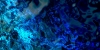 battlebg037