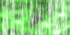battlebg217