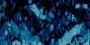 battlebg225